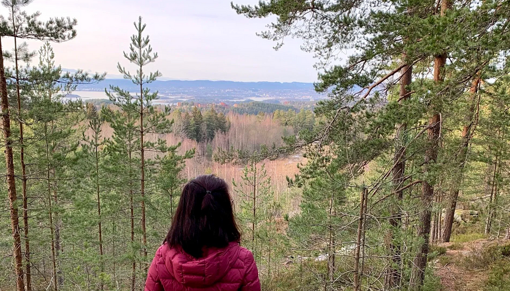 A girl with short hair looking at Norwegian fjord and forest (private collection of Aprisa Chrysantina)