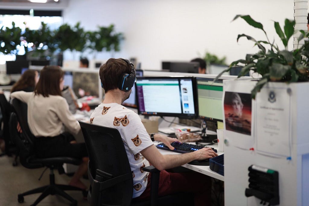 A man with dog tshirt programming on the computer