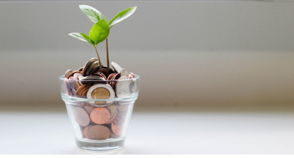 a glass filled with coins and a tiny plant growing out of it