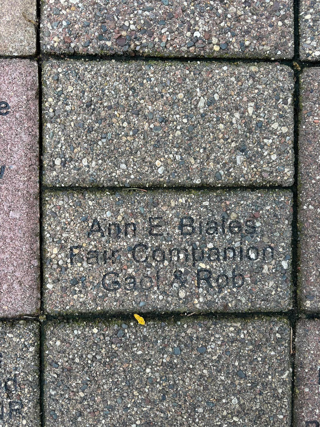 Memorial brick at the Minnesota State Fair for my friend Ann.