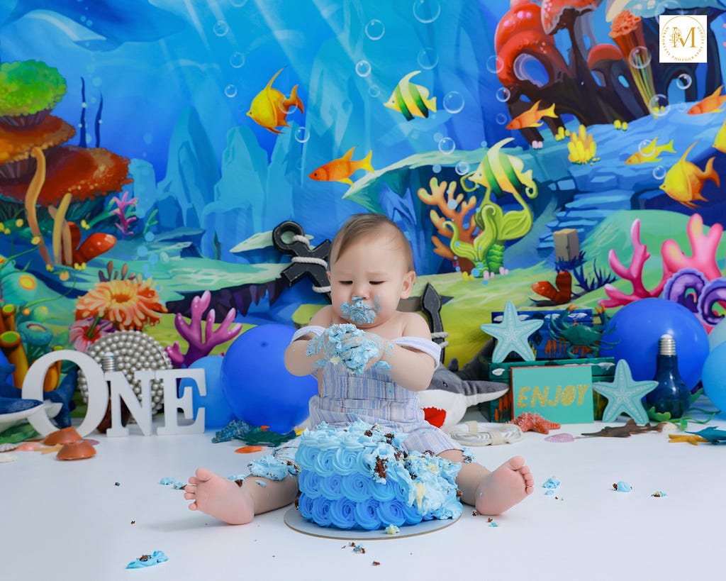 Cakesmash photography Under the Sea Theme