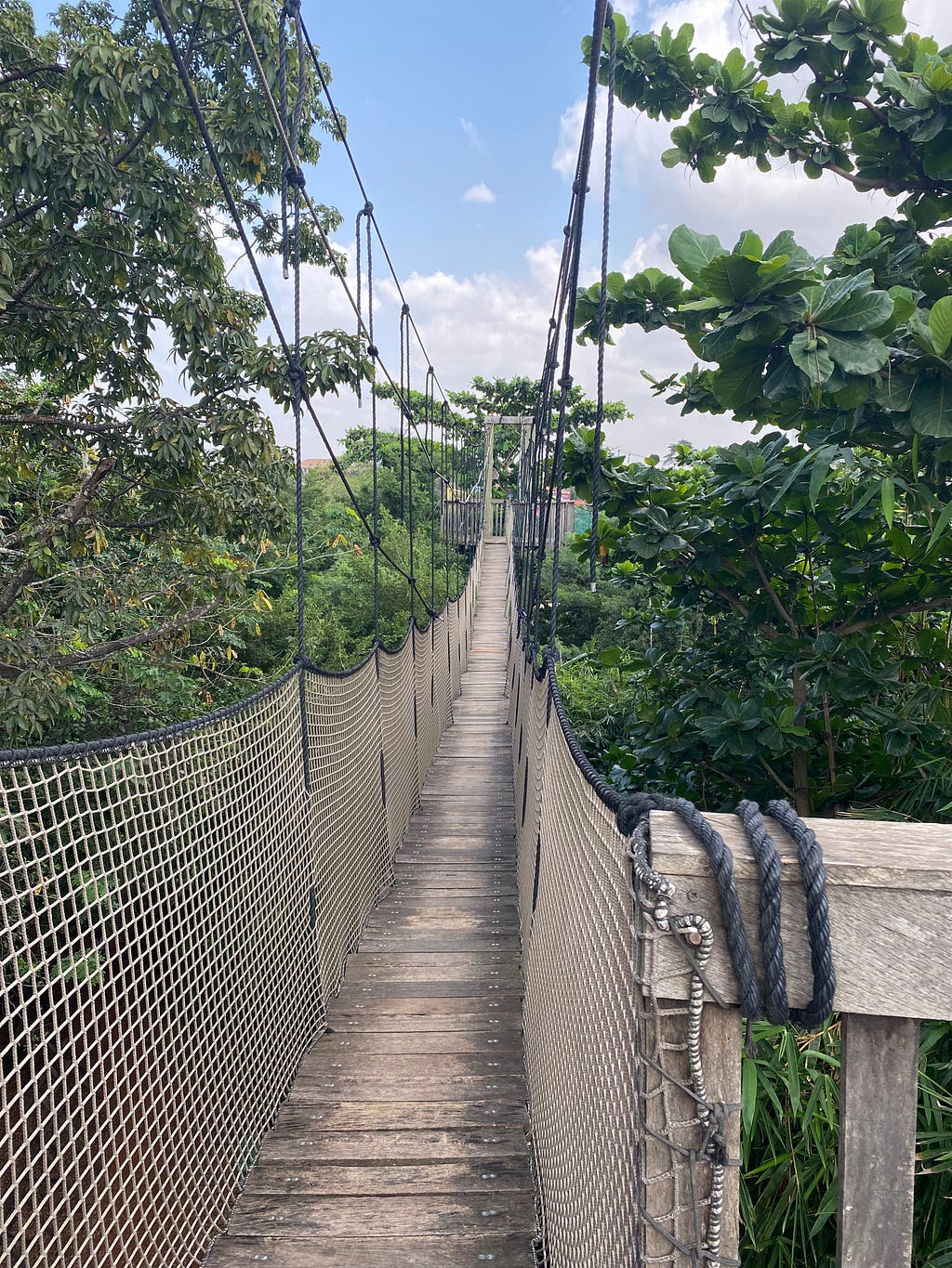 Wooden, rope canopy bridge through the trees of Legon Botanical Garden.
