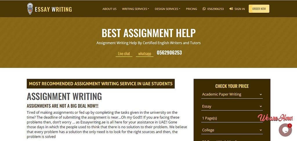 Essay Writing AE — Assignment Help — Website Snapshot