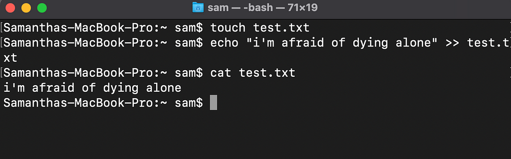 terminal window with the following commands: touch test.txt [enter] echo “i’m afraid of dying alone” >> test.txt [enter] cat test.txt [enter] printed below the last command is “i’m afraid of dying alone”