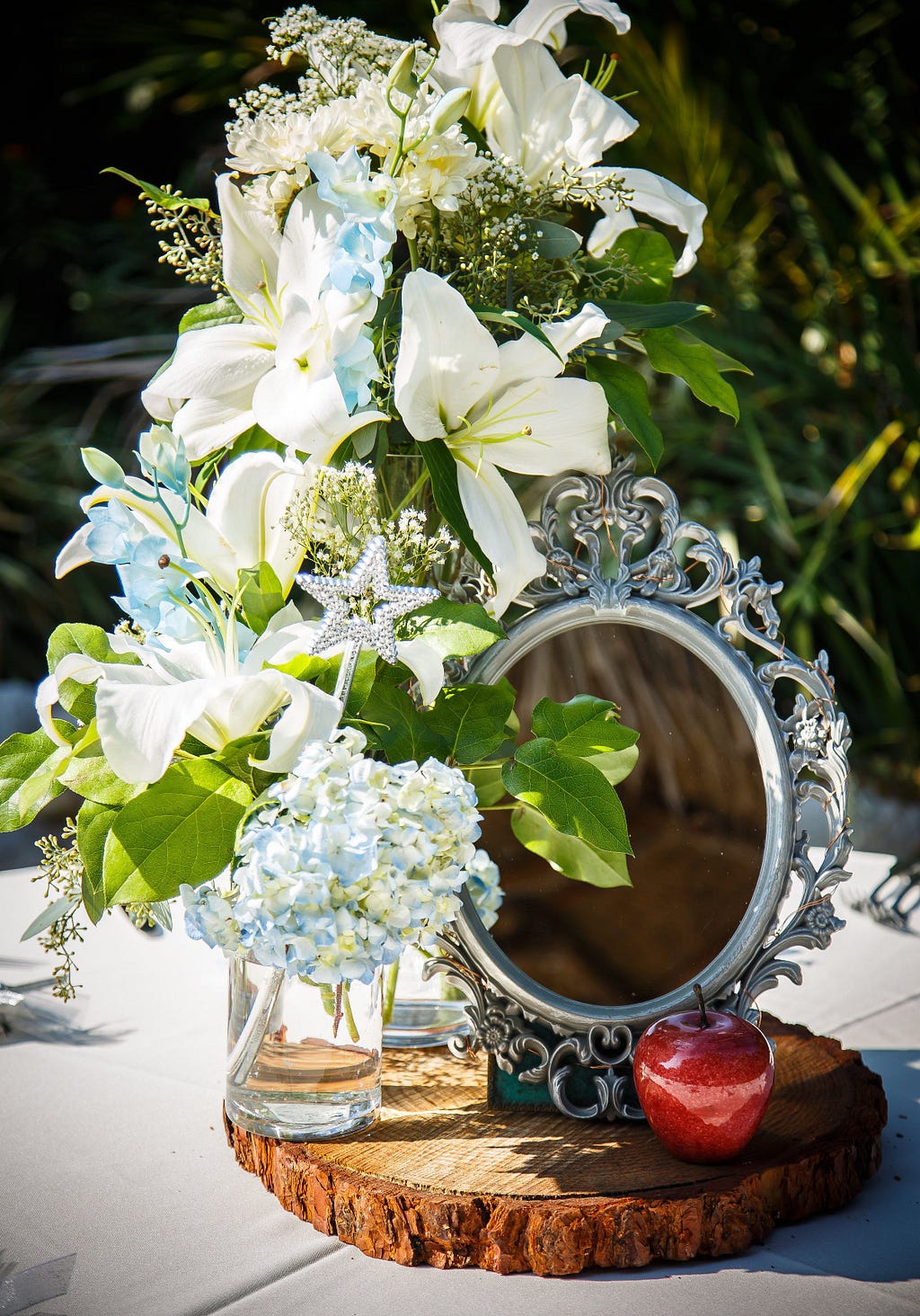 Snowwhite, Snow White, Mirror, Apple, White Flower, Beautiful, Valentine’s, Valentine Day