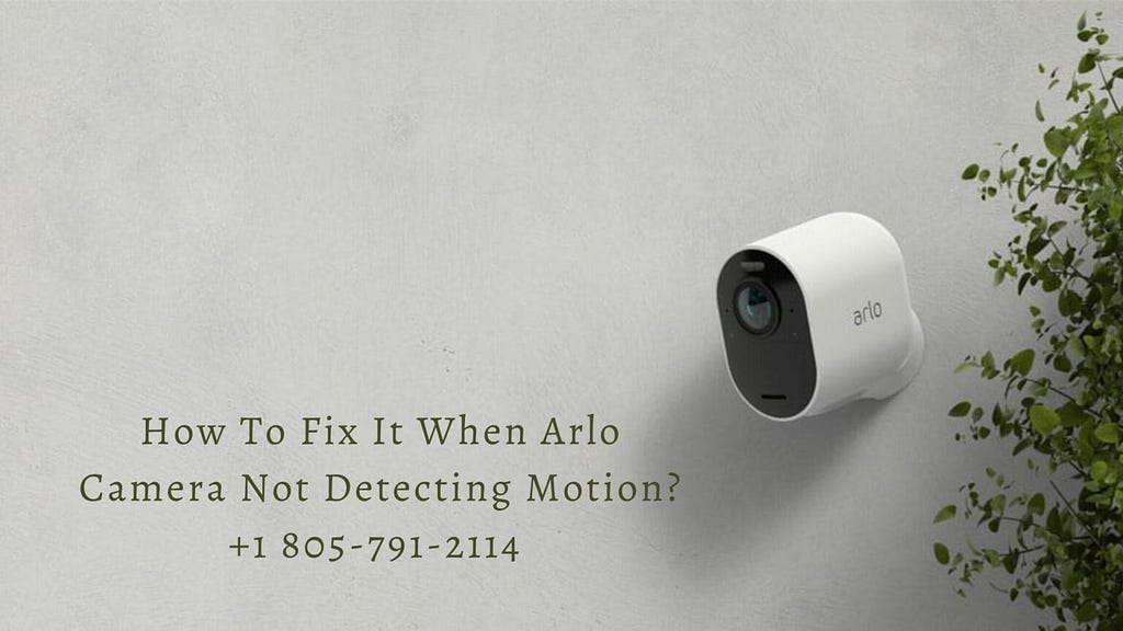 Arlo Camera Not Detecting Motion