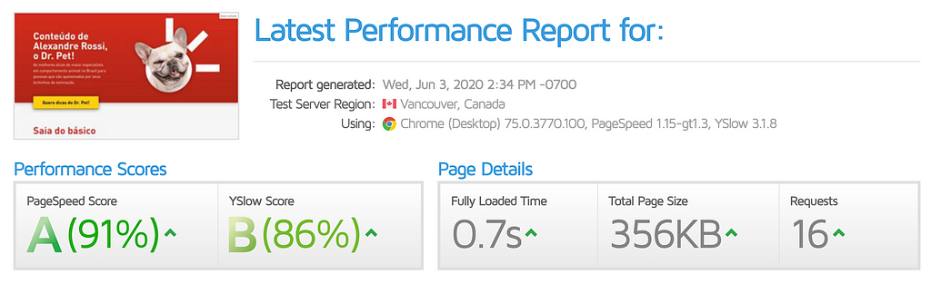 screenshot showing good results for page speed