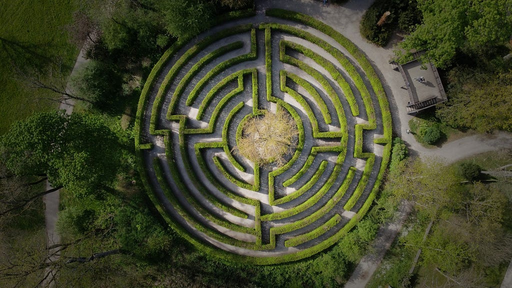A photo of a circular hedge maze.
