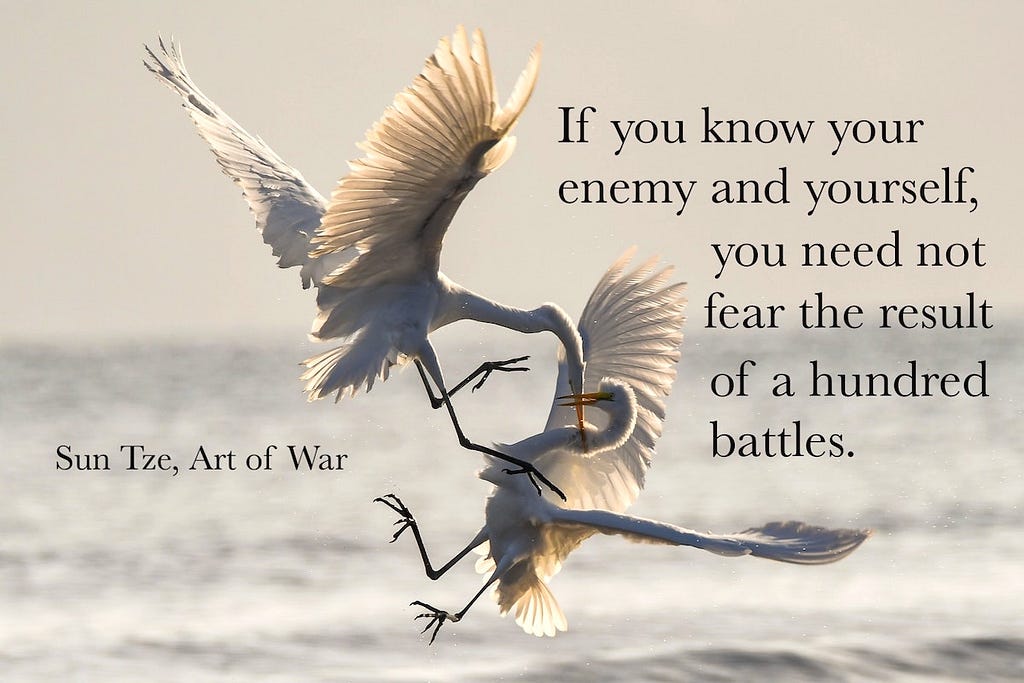 Quote: If you know your enemy and yourself, you need not fear the result of a hundred battles. — Sun Tze, Art of War