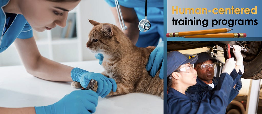 Photos Of Veterinary Student Clipping A Cat’s Claws And A Student Mechanic In A Training Program
