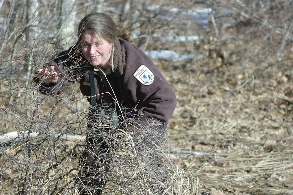 A woman wearing a Service uniform making her way through shrubland habitat