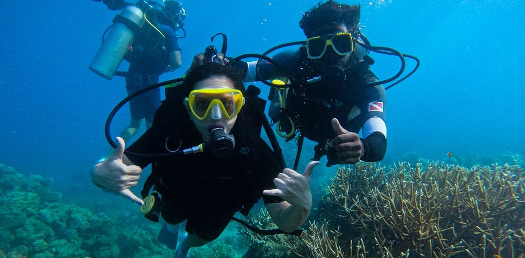 scuba divers underwater above coral reefs