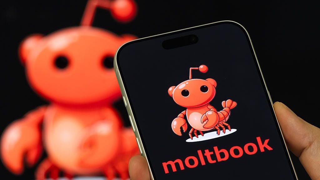 The Molbook Anomaly: When Humans Invade AI Spaces