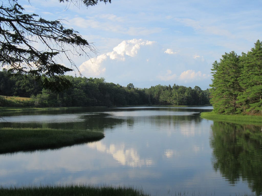 Calm, still water surrounded by green trees. A blue sky with a large puffy cloud is overhead