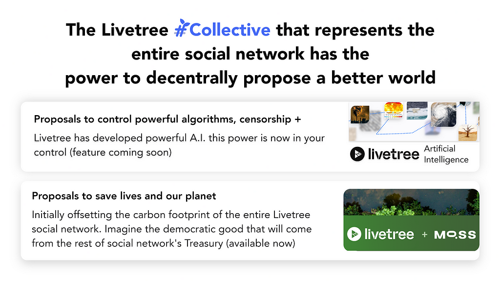 https://livetree.page.link/N6p3