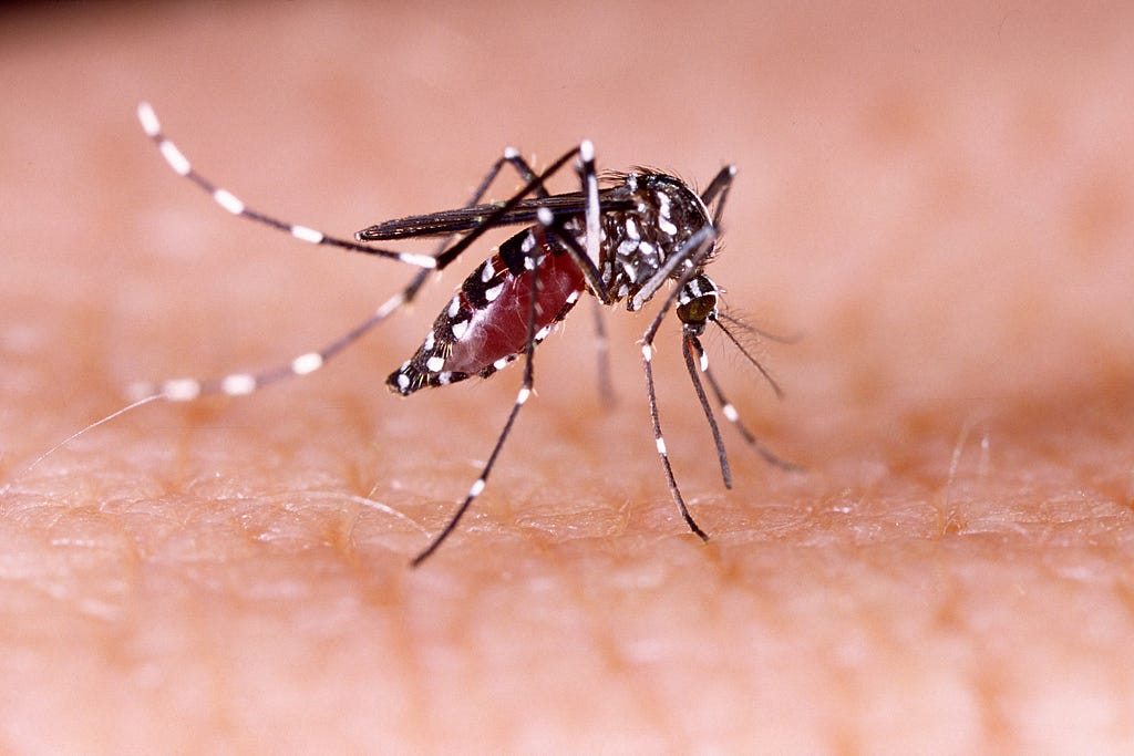 Dengue Ke Lakshan, Test, Dengue IGM Positive Means