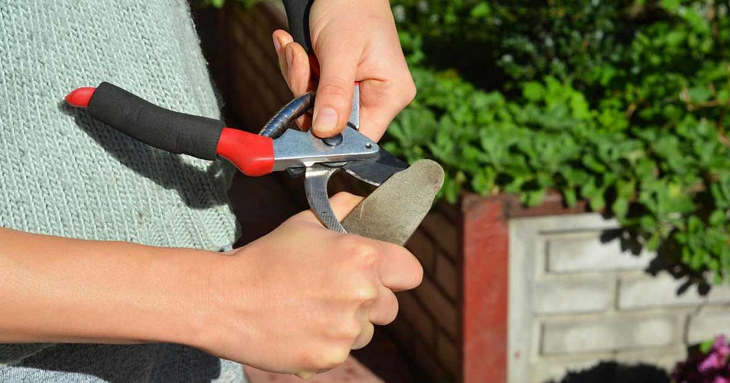 How Do You Sharpen Your Garden Shears