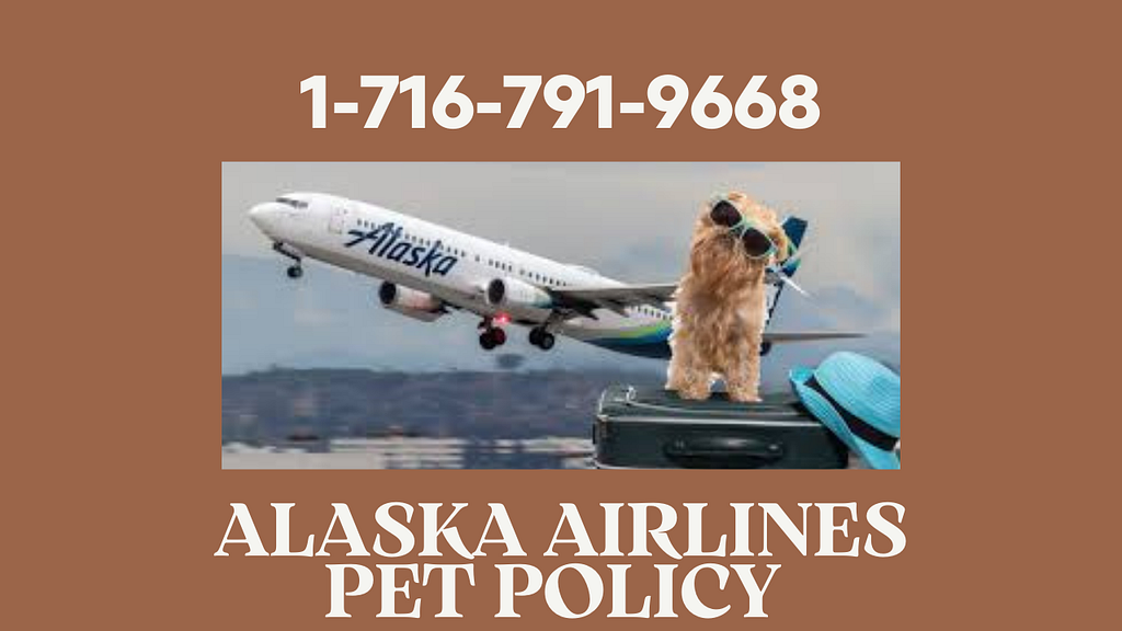 Alaska airlines Pet Policy