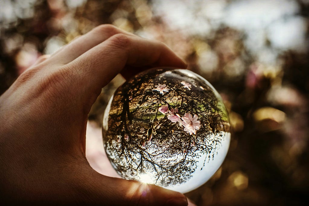 A glass ball reflecting a flower tree, Photo by Hannah Murrell on Unsplash