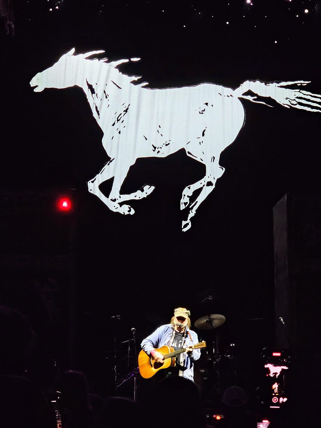 Neil Young with acoustic guitar and harmonica, Live