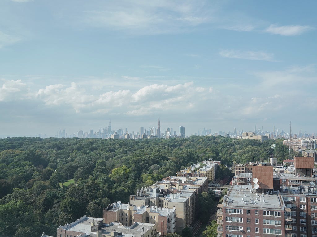 A photograph taken from a tall height shows lush greenery on the left and low-rise buildings on the right, as the Manhattan skyline is visible in the distance.