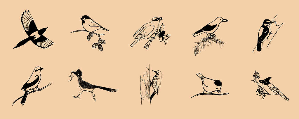 Collection of bird icons on Noun Project, taken from a field journal of nature sketches and environmental illustrations from naturalist, artist, graphic designer and citizen scientist Kadi Franson