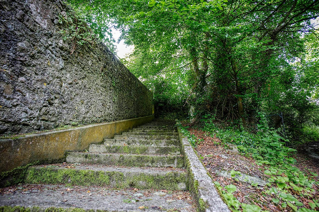 stone steps paralleling a wall on one side with vegitation on the other