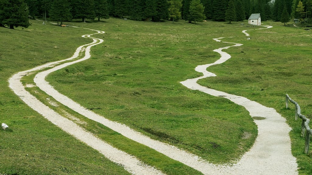 Image: A photograph of two diverging paths through the grass.