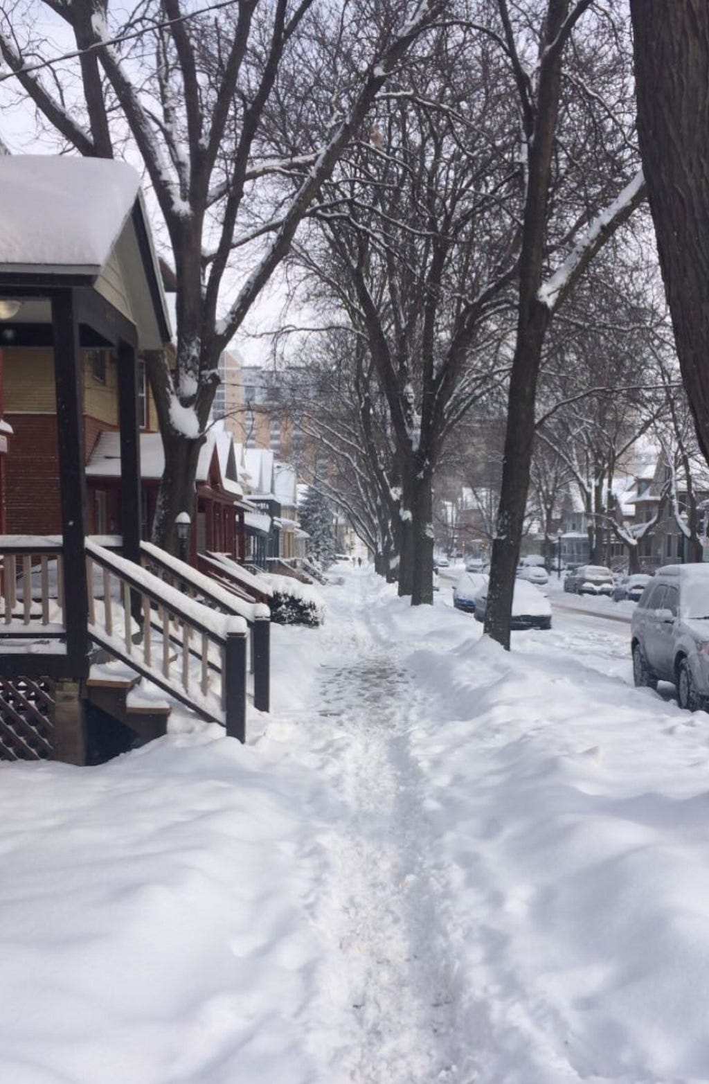 Houses lining a snow-covered sidewalk