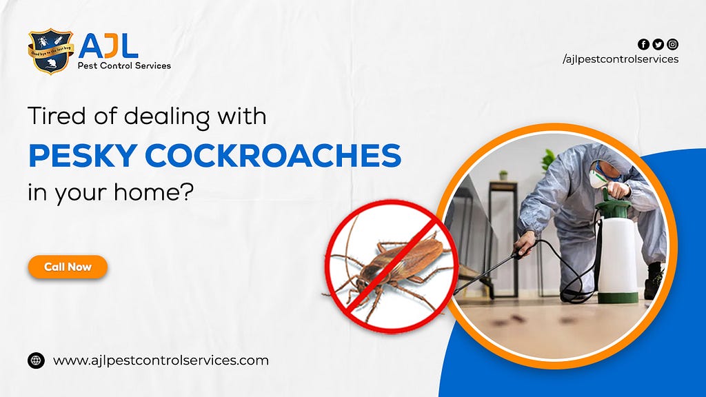 Cockroach control treatment in Hyderabad by AJL Pest Control Services