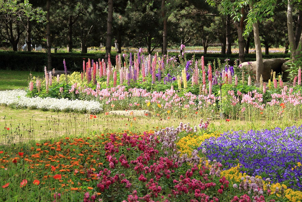 A colorful garden of diverse beautiful flowers. Flowers are varying heights and colors: purple, yellow, pink, orange, and red.
