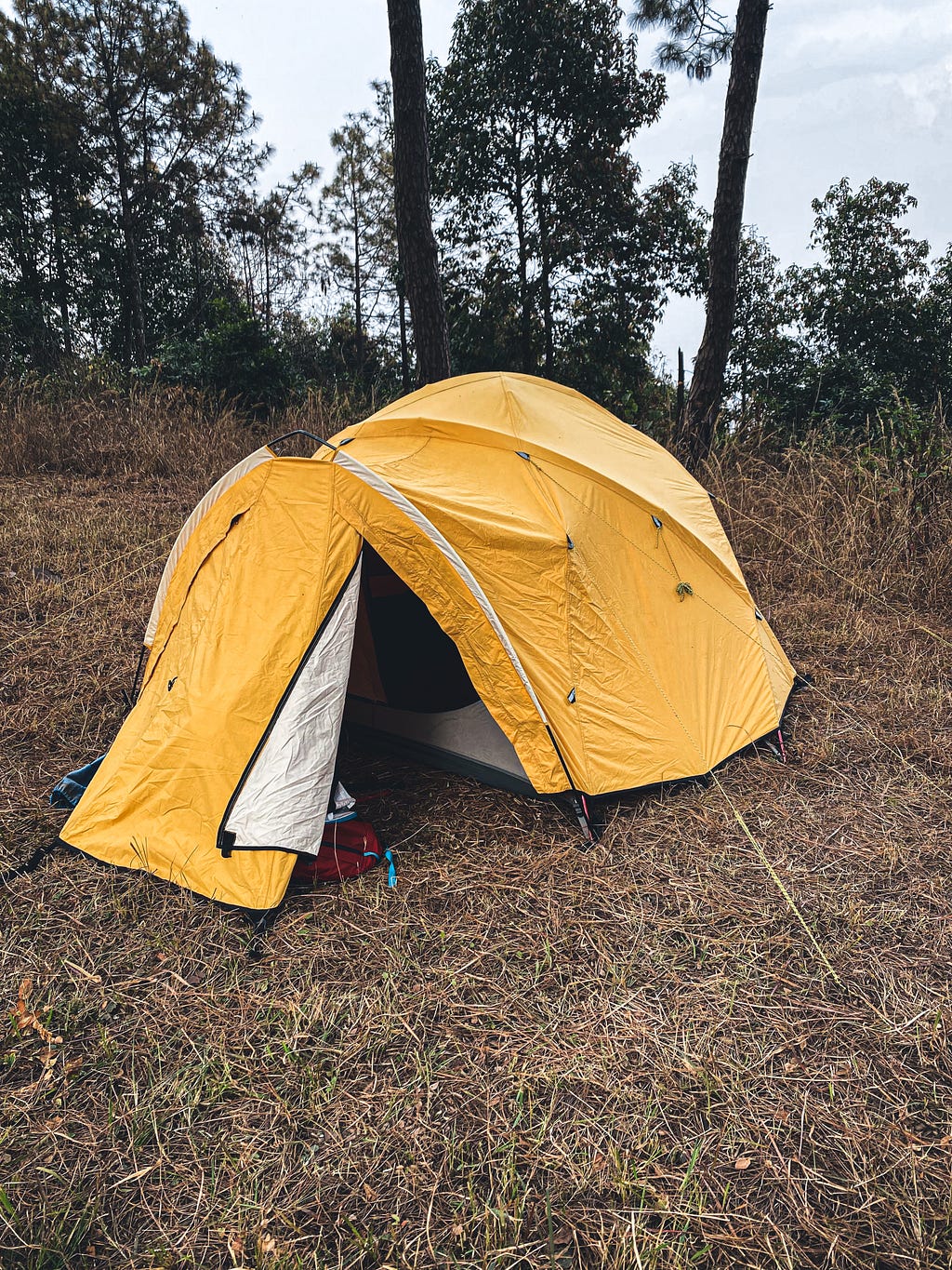 The tent Sean and I shared in Hattiban, Kathmandu, Nepal. Photo by Author