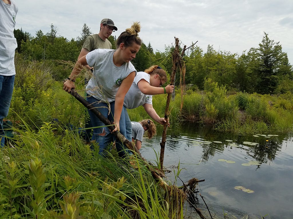 Three young women removing plant debris from a pond