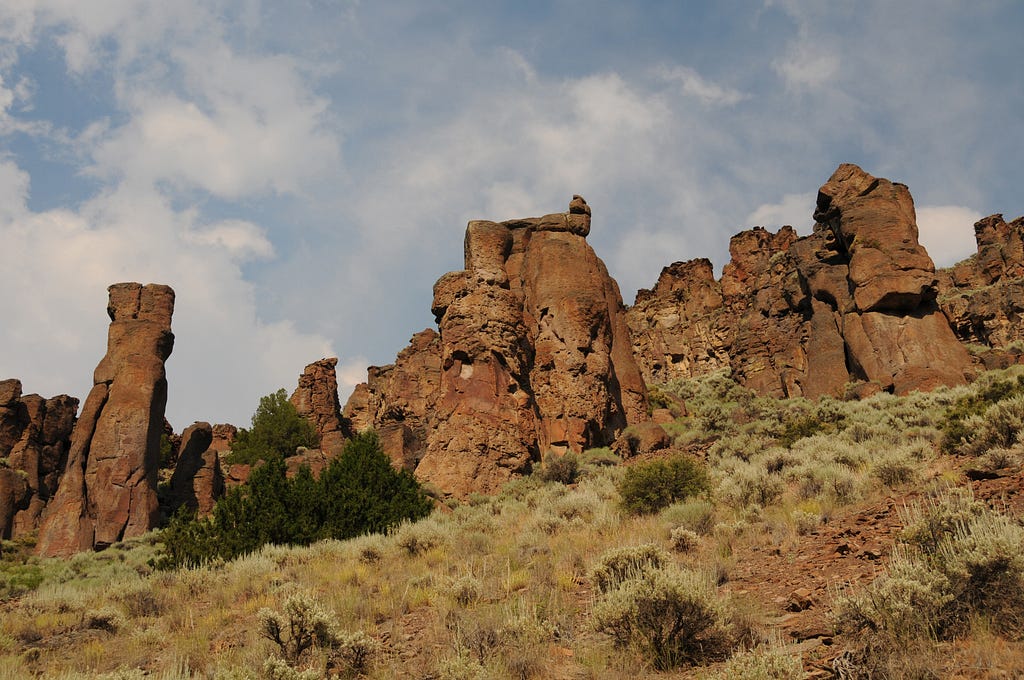 Basalt “fairy chimneys” in Jarbidge Canyon have strange shapes.