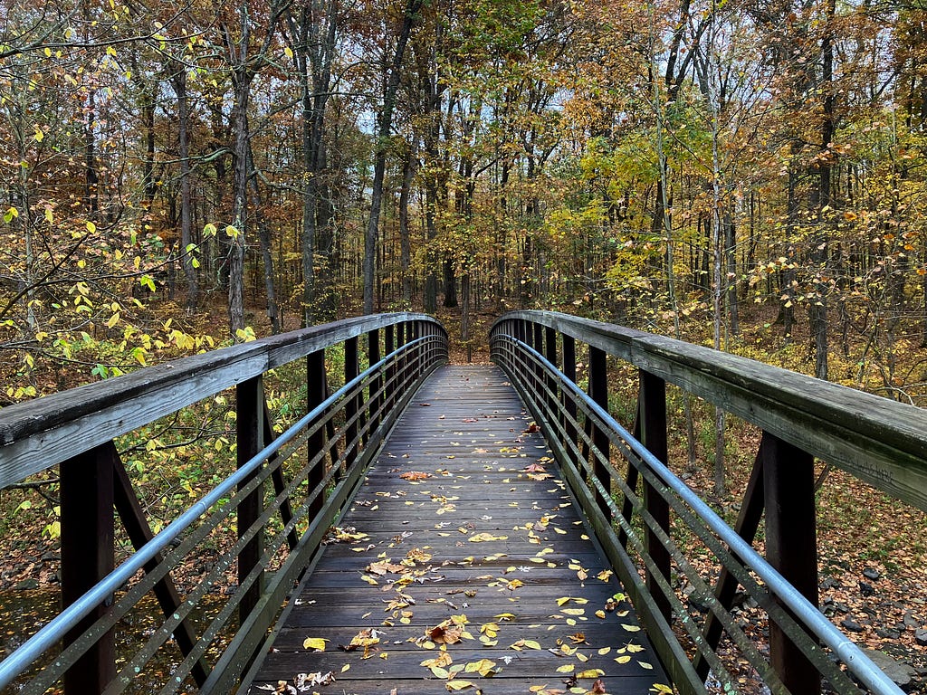 A wooden footbridge with rails on both sides and some leaves on the path crosses over a ravine through autumn forest.