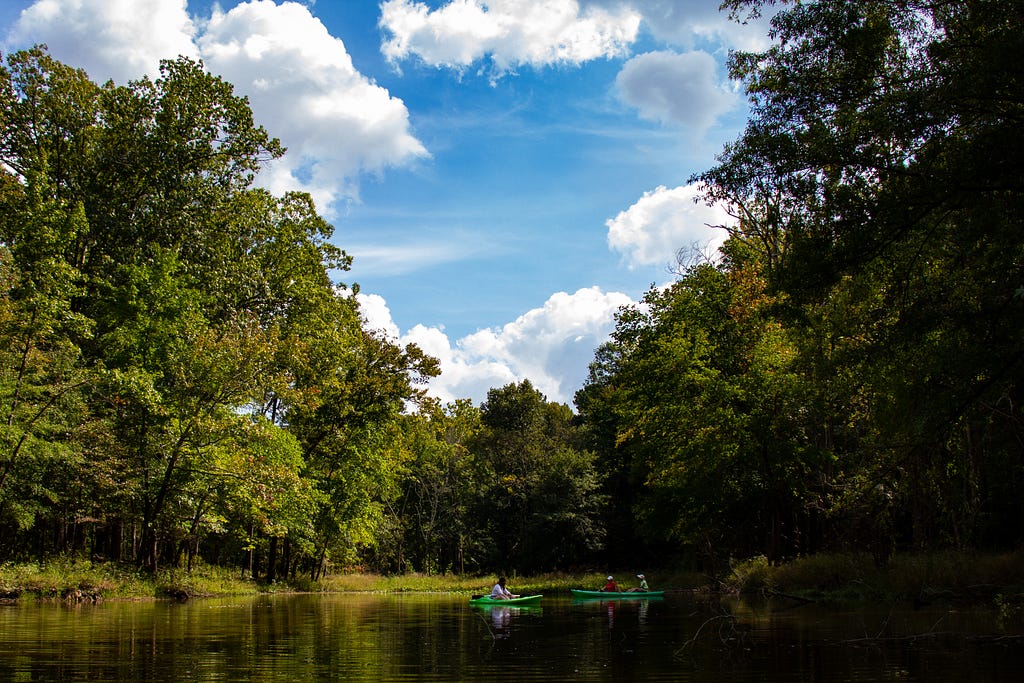 Three kayakers paddling inside one of the Jordan Lake inlets, surrounded by green trees on all sides and a blue sky with large white clouds above them.