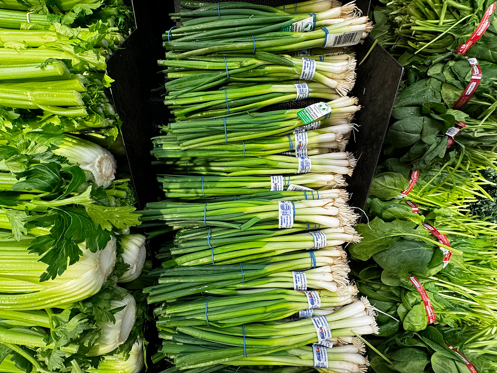 A typical display of about 20 green onion bunches on display at a typical Canadian grocery store, flanked by celery on the left, and bunches of spinach on the right.