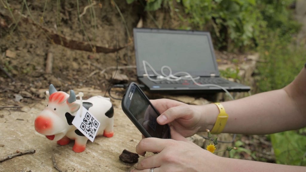 A learner scans a QR code attached to a toy cow hidden in a rural landscape