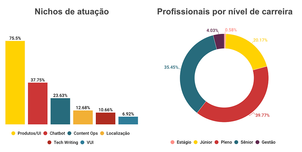 Gráficos de nicho de atuação e quantidade de profissionais por nível de carreira. Os dados estão descritos a seguir.