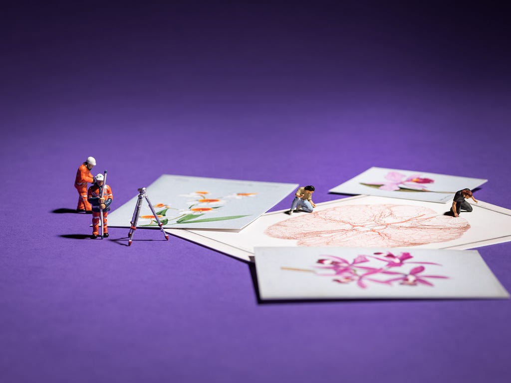 Images of flowers and a brain scattered on a purple background next to miniature figures dressed in high vis and helmets.