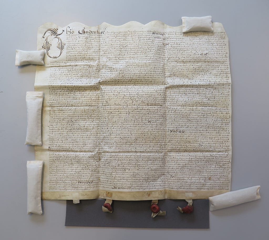 A large parchment document which was previously stored folded, held open and flat at the sides with soft archival cloth covered weights