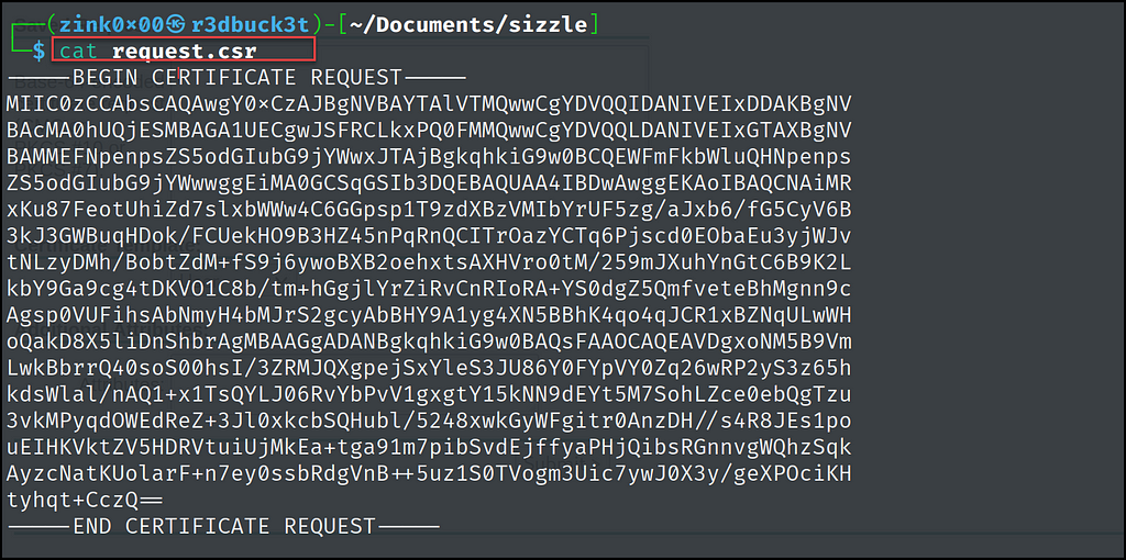 Figure 8- shows the base64 certificate. R3dbuck3t