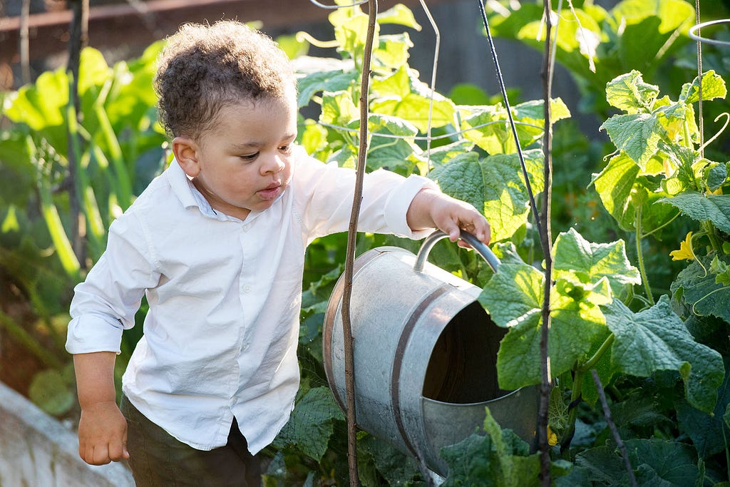 young boy holds a watering can over plants