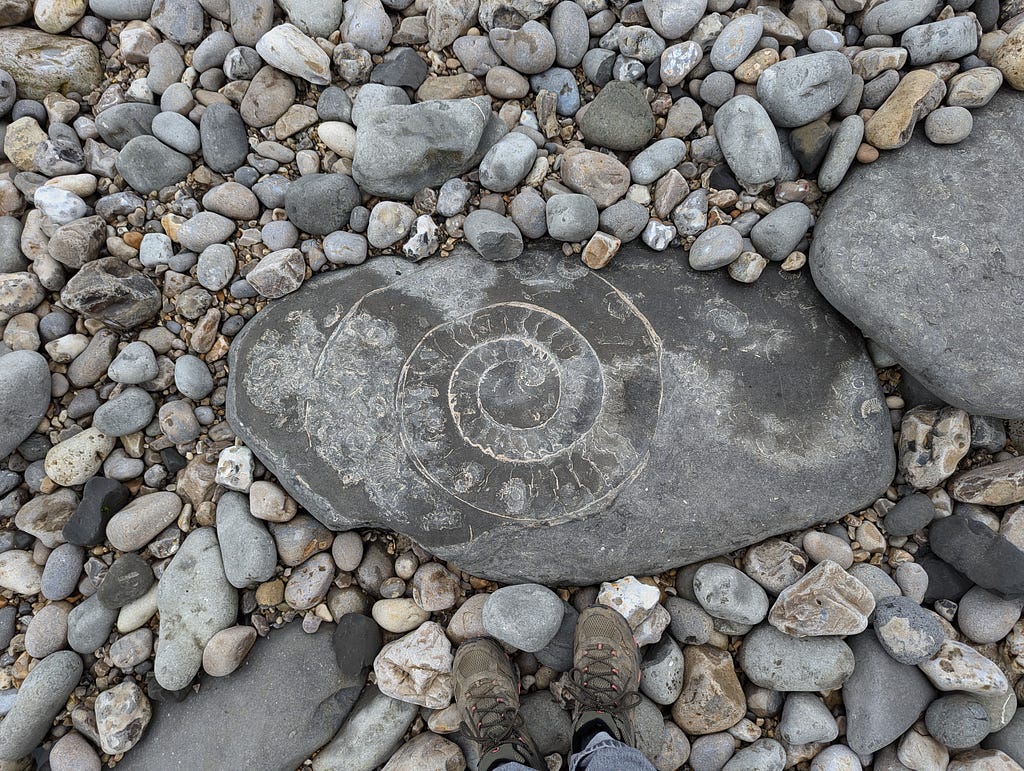 A birds-eye view of a large ammonite fossil in a rock, set against a pebbly beach. The legs of the photographer and their walking boots in the shot.