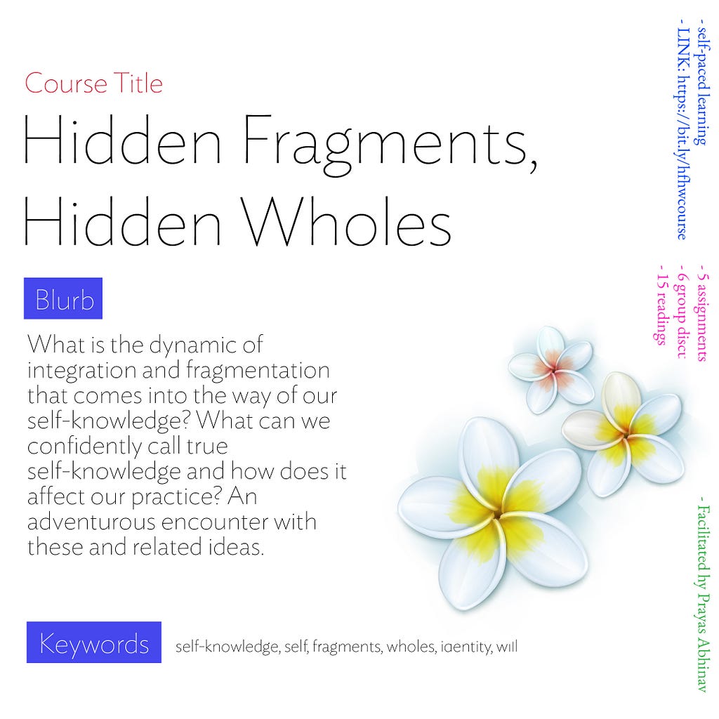 poster of Hidden Fragments, Hidden Wholes