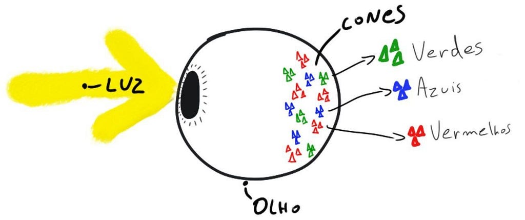 Desenho ilustrativo mostrando a luz entrando em contato com olho e reagindo em cada uma das celulas cone