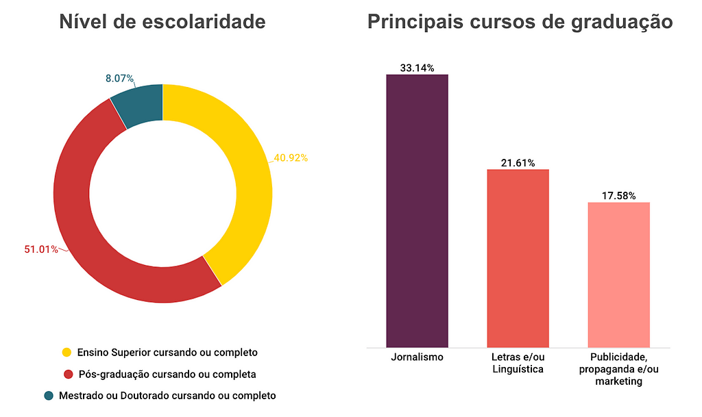 Gráficos sobre nível de escolaridade e principais cursos de graduação. Os dados estão descritos a seguir.