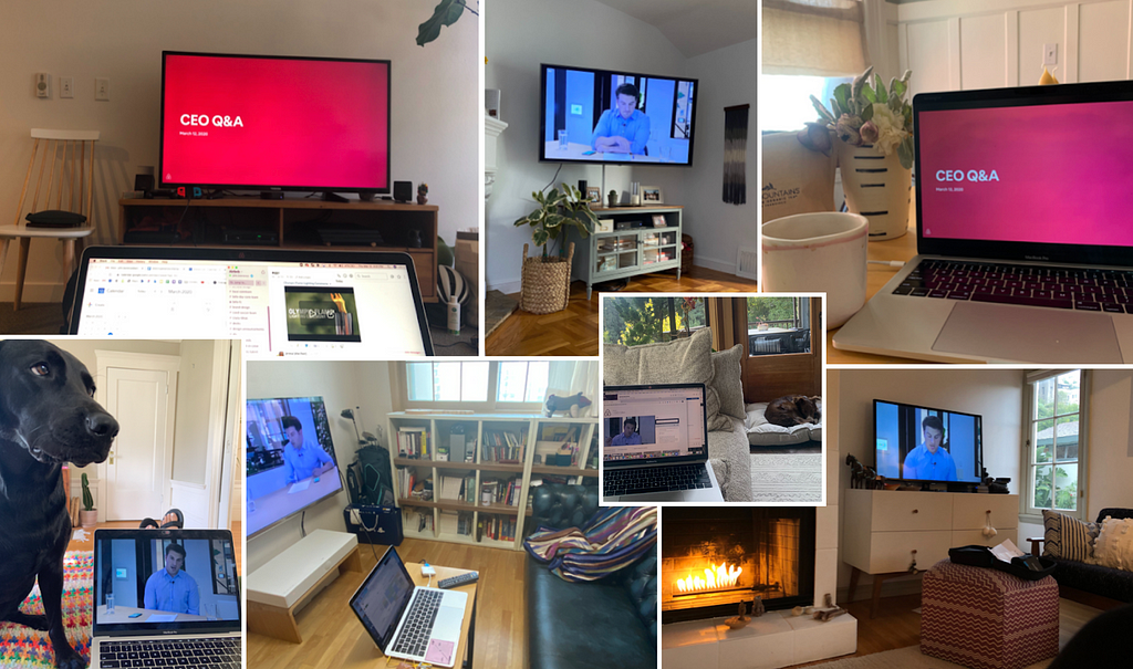 Photos of various employees at-home workstations. Some photos are laptops on a desk or coffee table. Others are projected onto a TV in a living room. Two of the photos feature pets in the background.