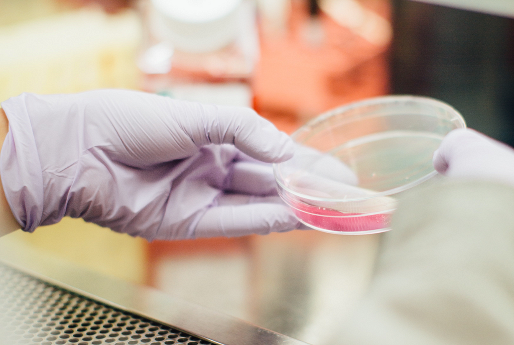 Scientist holding petri dish in lab hood