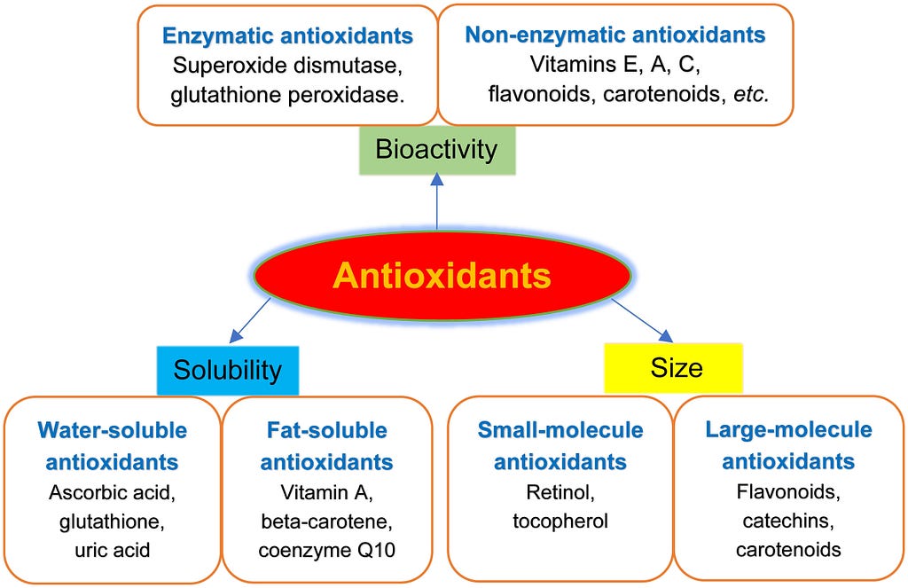 Antioxidants classified based on bioactivity, solubility and size